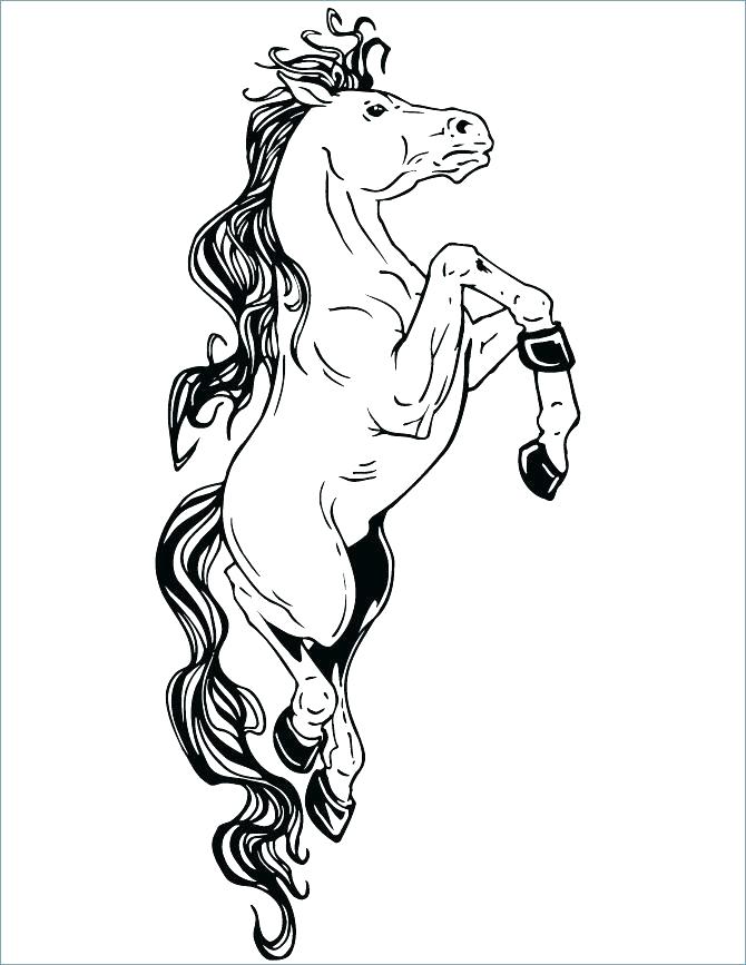 670x867 Beautiful Horse Coloring Pages Horse Breeds Coloring Pages Newest