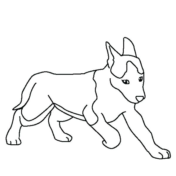 600x600 Siberian Husky Coloring Pages Husky Coloring Pages Cute Husky