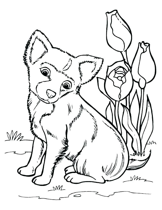 640x828 Husky Coloring Pages