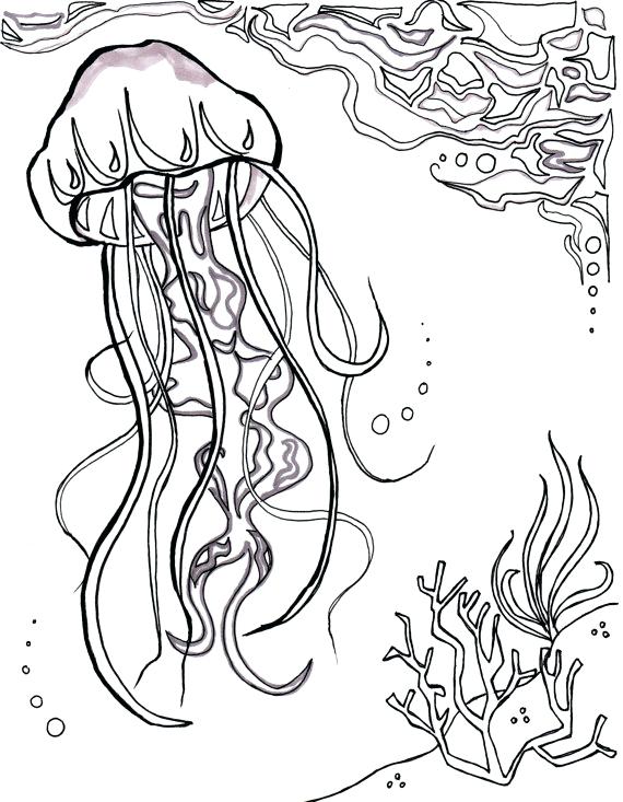 570x733 Jelly Fish Coloring Page Coloring Pages Fish Ocean Fish Coloring