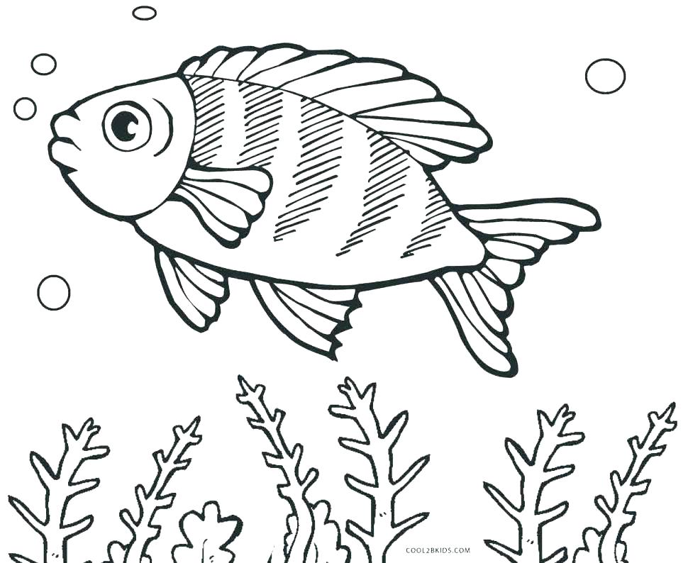 970x794 Kids N Coloring Pages Of Fish Fish Coloring Pages Cute Jellyfish