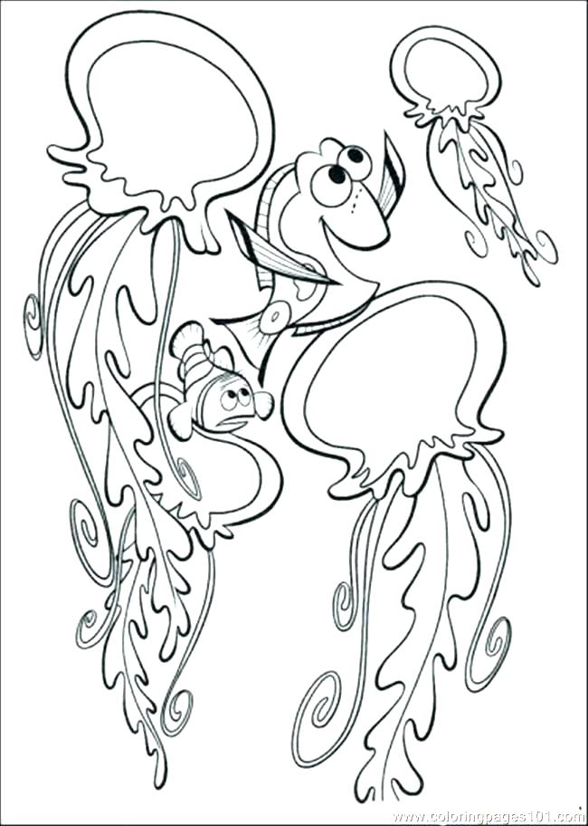 650x912 Box Jellyfish Coloring Pages Free Printable Page For Kids Simple