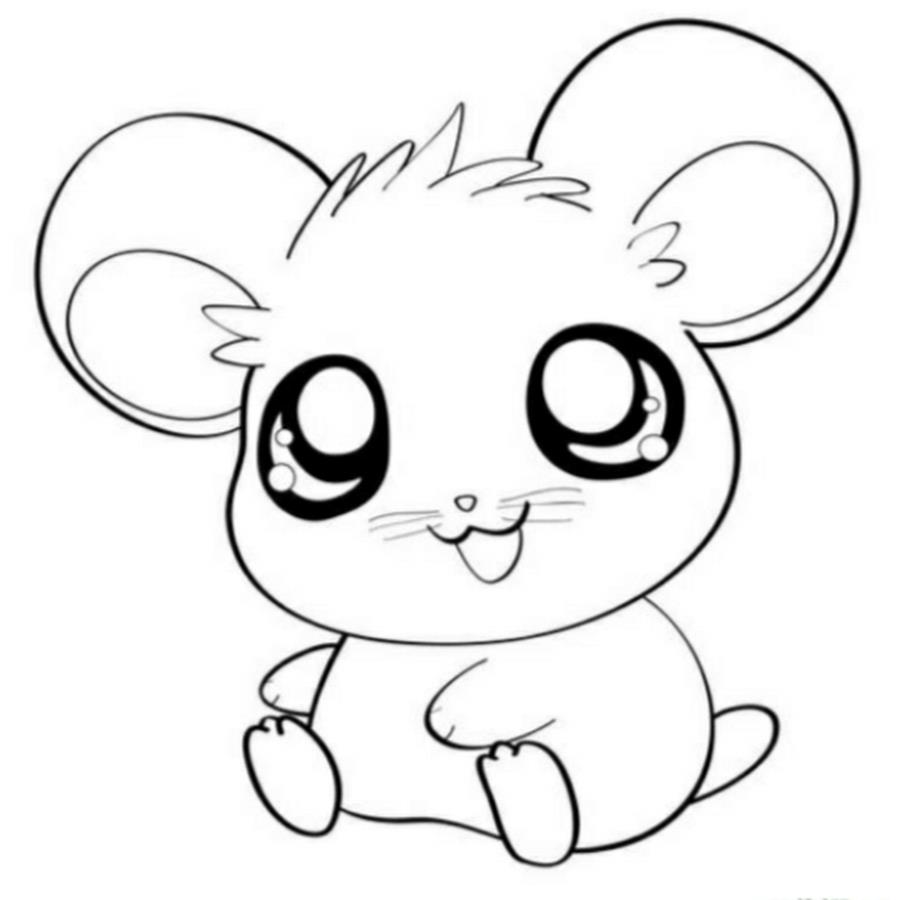 900x900 Cute Kawaii Animal Coloring Pages Just Colorings Amazing