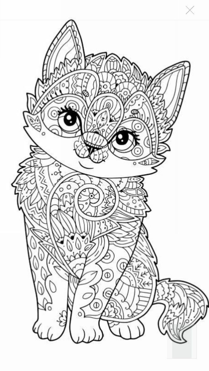 720x1280 Printable Cute Kitten Coloring Page More Pins Like