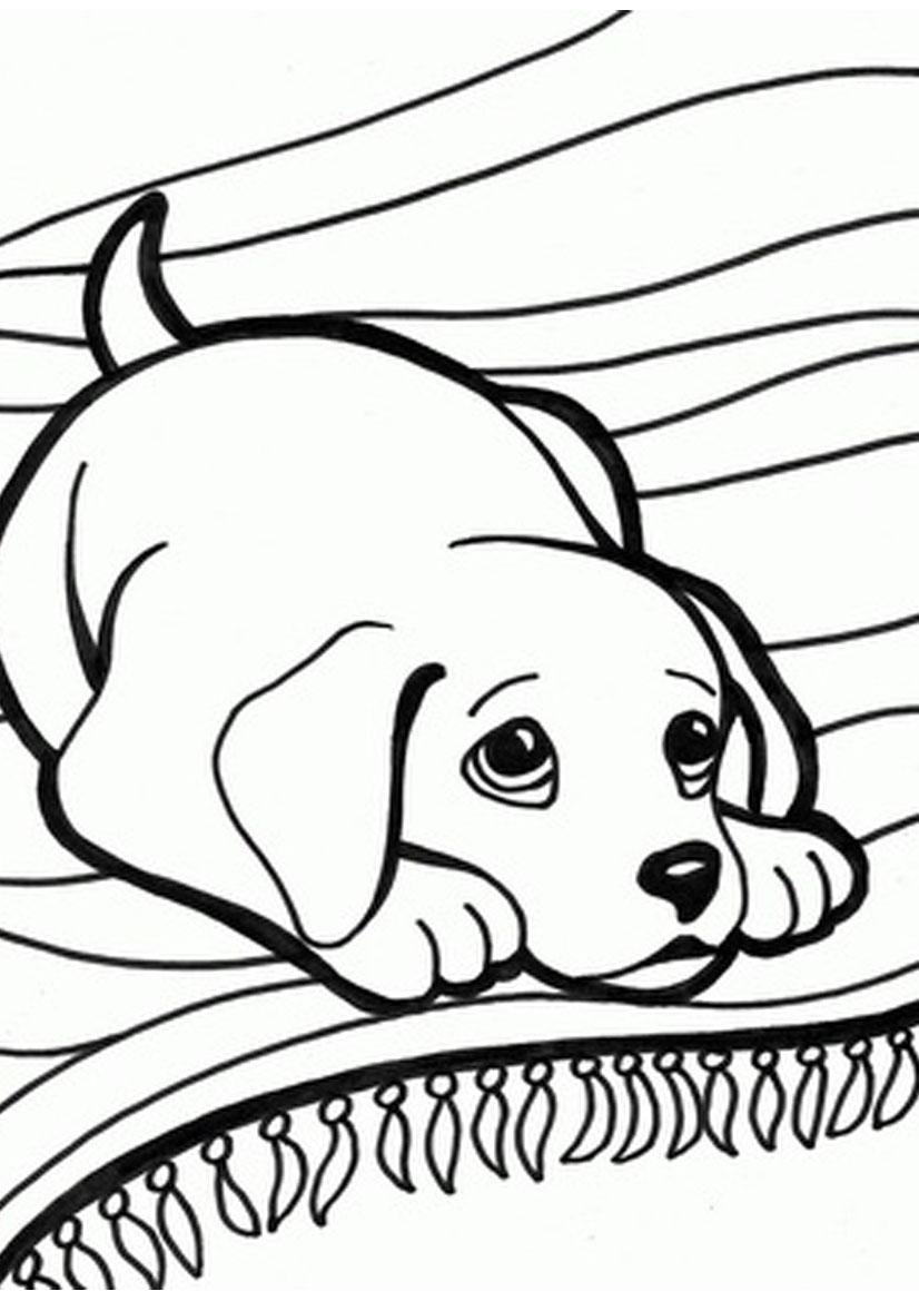 826x1169 Quality Cute Kitten Coloring Pages Exploit And Puppy To Print Home