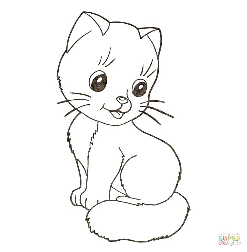 852x870 Free Kitty Cat Coloring Or Cute Kitten Coloring Page Free