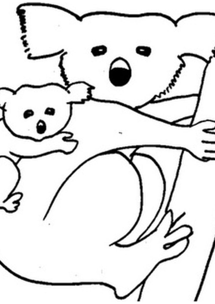 743x1051 Cute Koala Coloring Pages Coloring Pages Kids