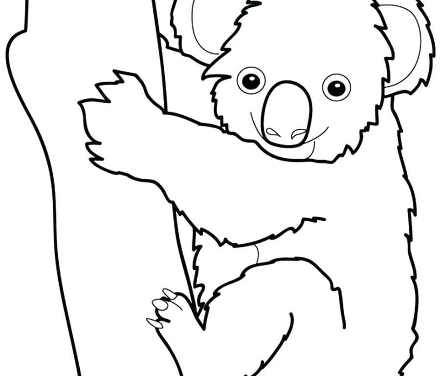900x768 Koala Bear Coloring Pages Koala Coloring Page Koala Animal