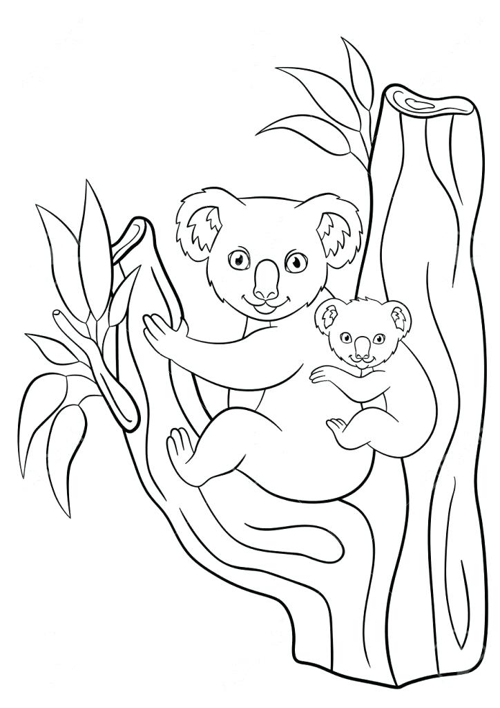 724x1024 Koala Coloring Pages Koala Colori Pages Cheap Koala Pages Online