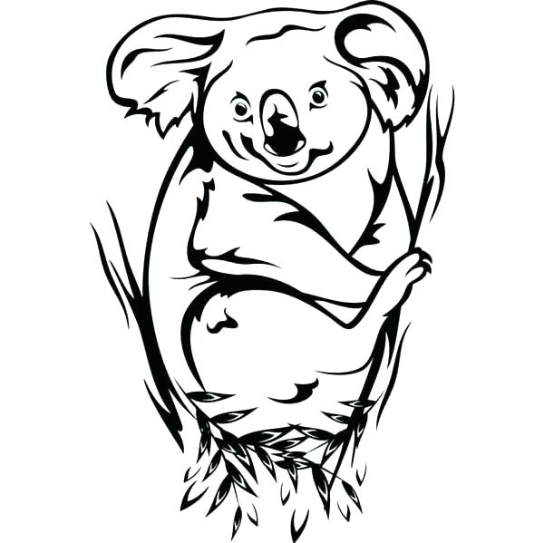 600x599 Best Koala Cute Images On Koalas Baby Koala And Koala Bears Koalas