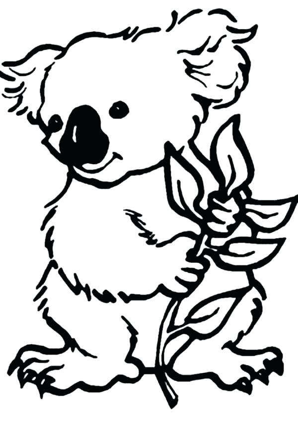 600x851 Koala Coloring Pages