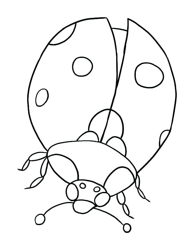 618x773 Lady Bug Coloring Sheet Ladybug Between Leafs Coloring Page