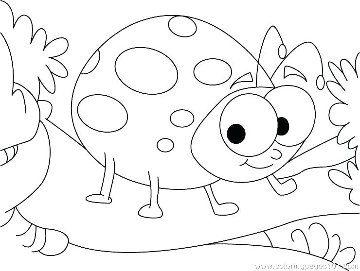 740x558 Lady Bug Coloring Sheet Ladybug Coloring Pages Ladybug Coloring