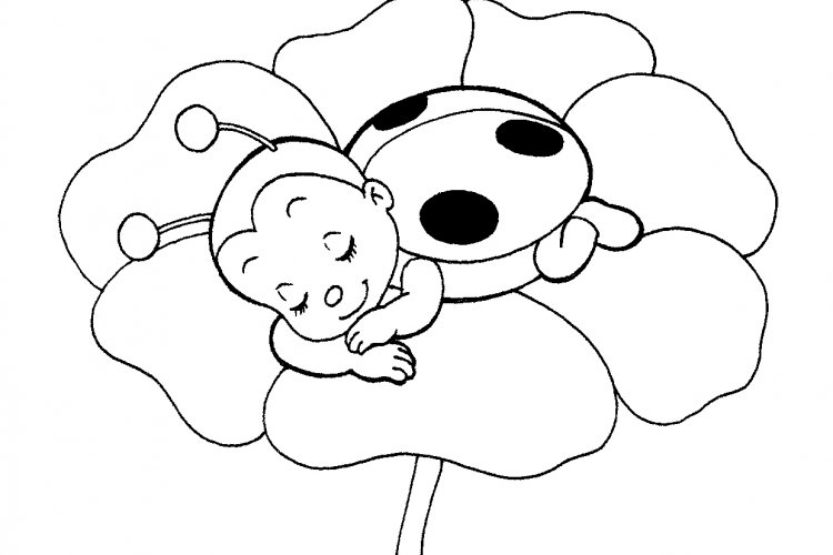 750x500 Cute Ladybug Coloring Pages