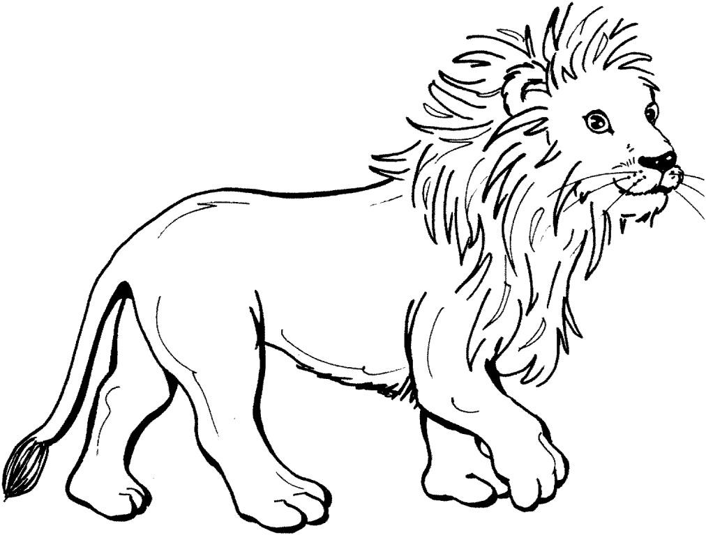 1012x768 Cute Lion Coloring Page 503003