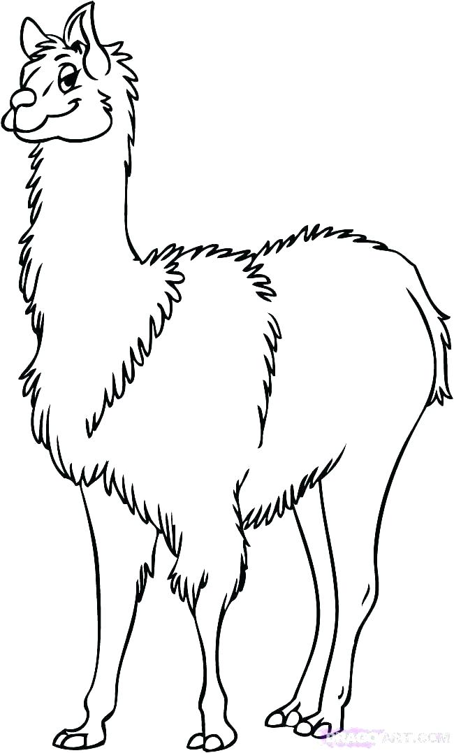 650x1077 Llama Coloring Page Llama Coloring Pages Ideal Llama Coloring