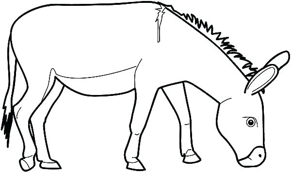 600x357 Llama Coloring Page Llama Eating Grass Coloring Page Cute Llama