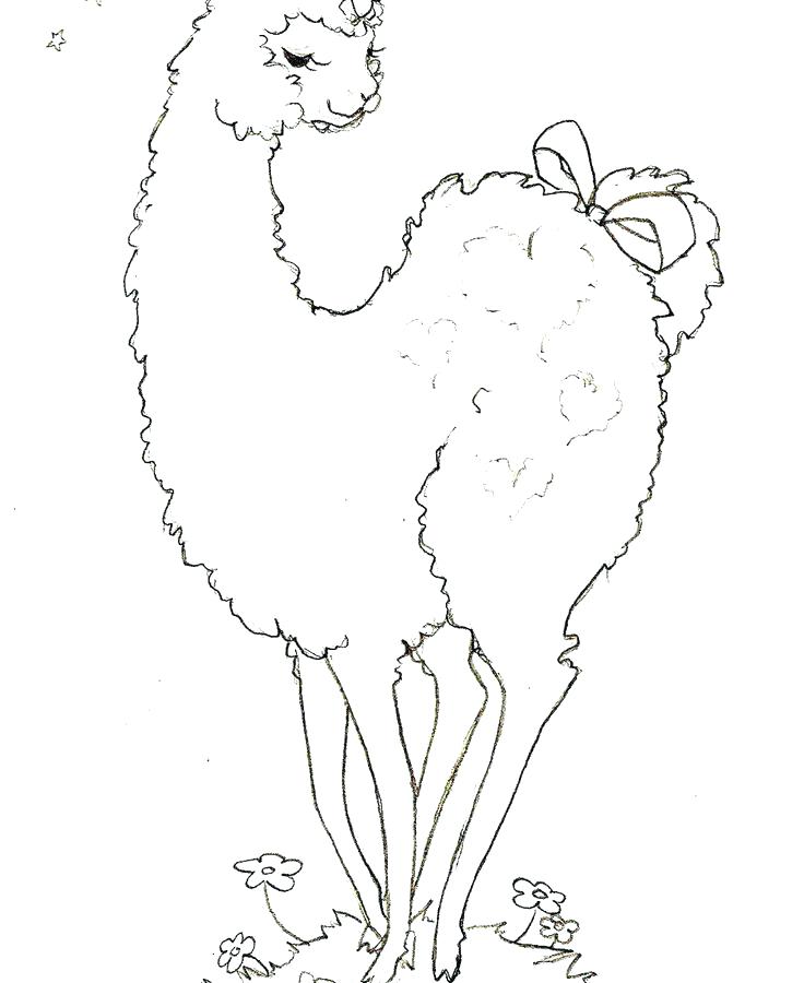 736x900 Alpaca Coloring Pages Llama Coloring Page Adult Llama Red Pajama