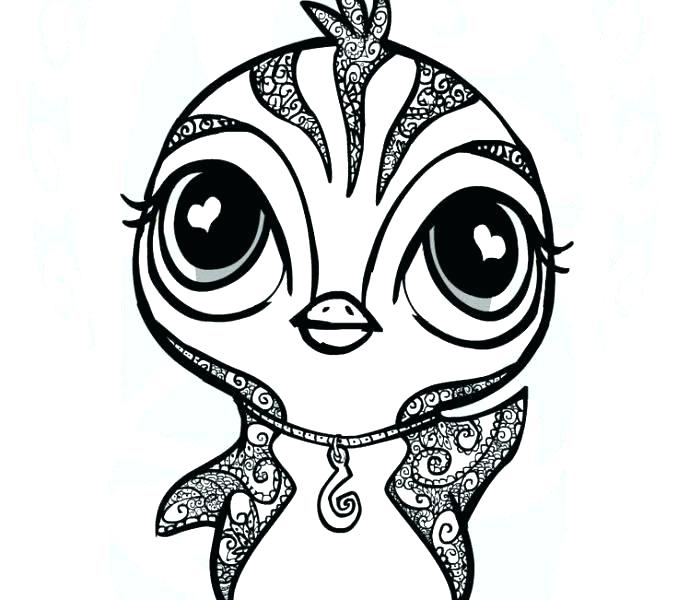 678x600 Baby Pig Coloring Pages Cute It Is A Girl Piggy And Bird Coloring
