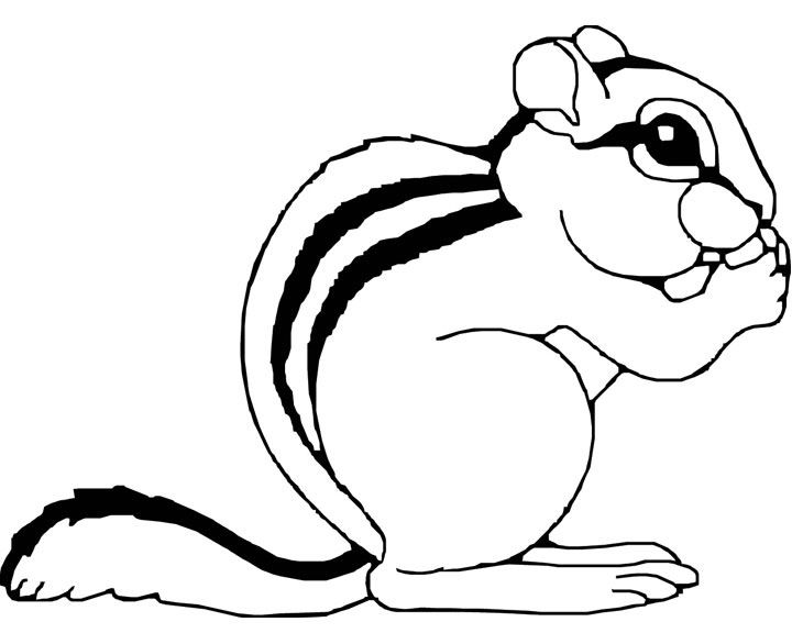 720x576 Cartoon Chipmunk Cute Animal Printable Coloring S On Moose