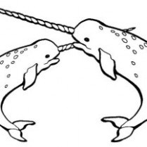 209x209 Cute Baby Narwhal Coloring Pages Sketch Coloring Page