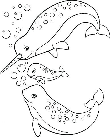 387x480 Good Narwhal Coloring Page And Narwhal 87 Cute Narwhal Coloring