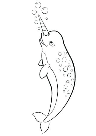 318x450 Narwhal Coloring Page Narwhal Coloring Page Narwhal Color Coloring