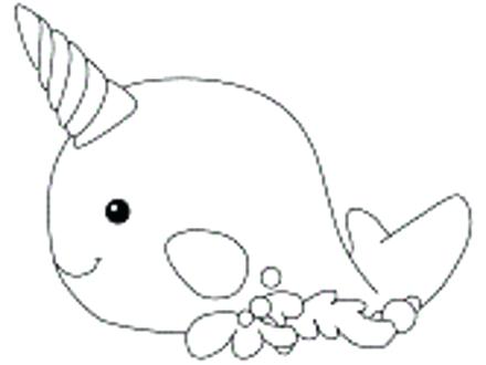 440x330 Narwhal Coloring Page Narwhal Coloring Page Narwhal Color N Is