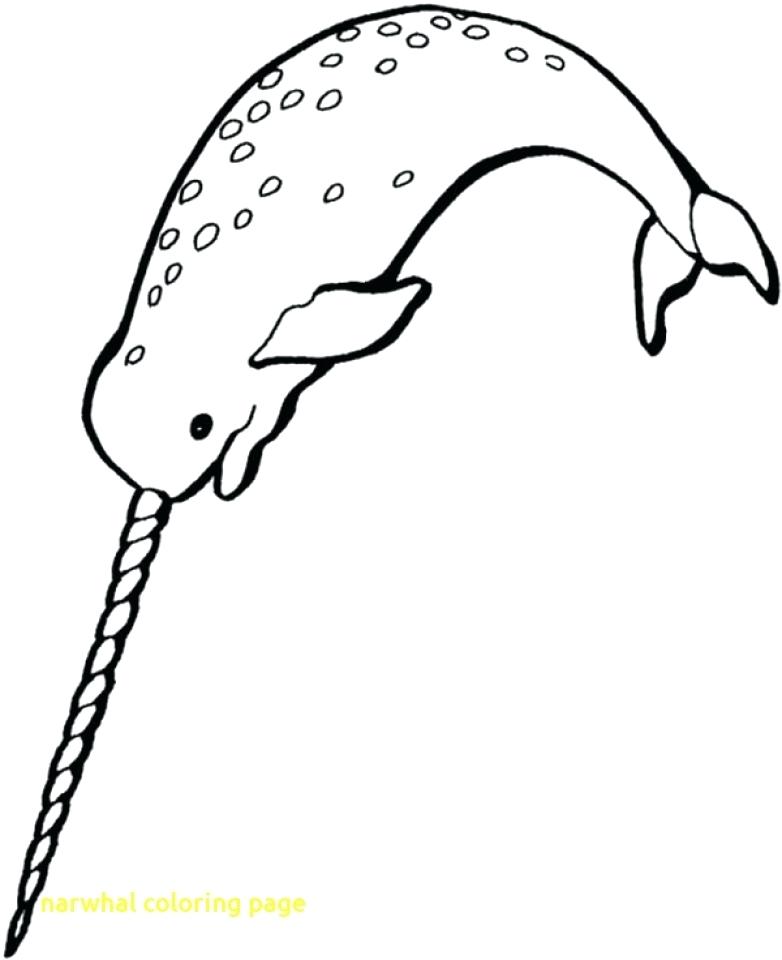 782x960 Narwhal Coloring Pages Free Narwhal Coloring Pages To Print Cute
