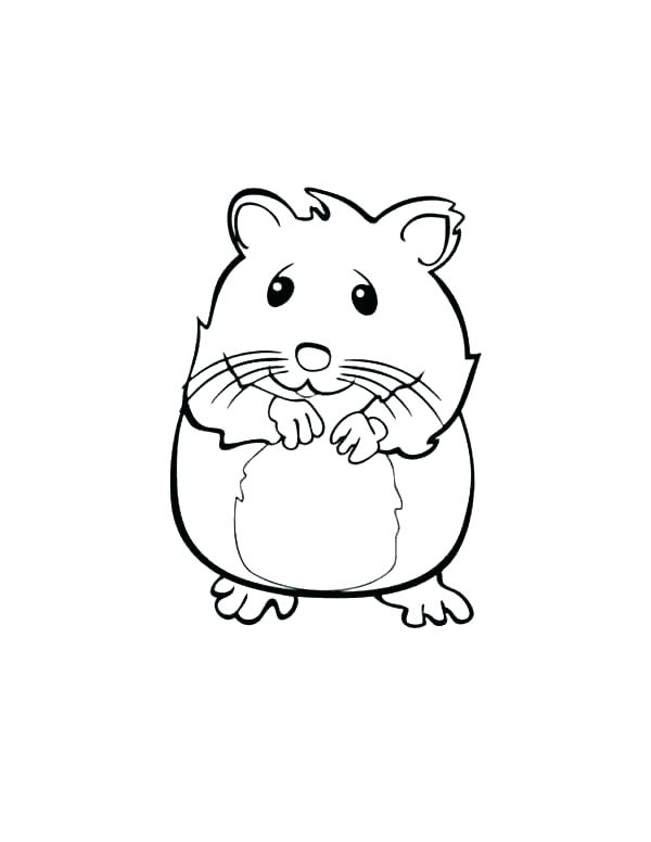 600x776 Narwhal Coloring Pages Shippa.co
