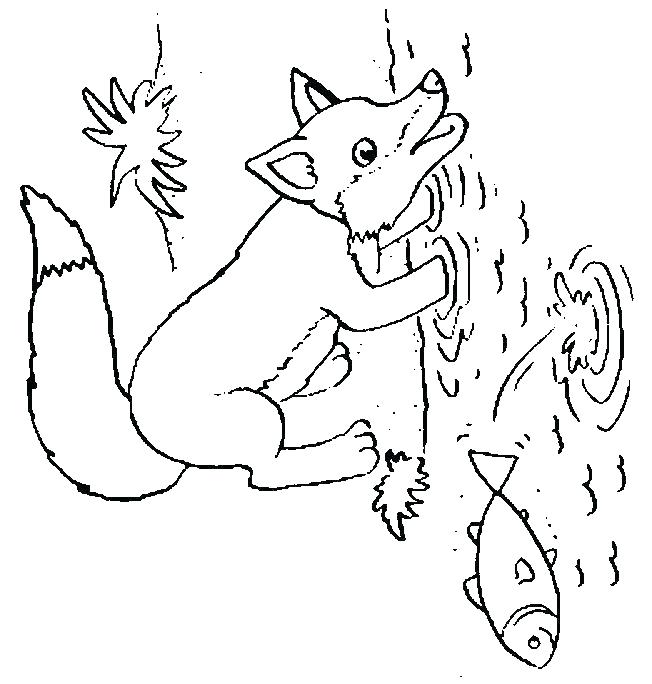652x684 Baby Fox Coloring Pages Spotted Tailed Coloring Pages Coloring