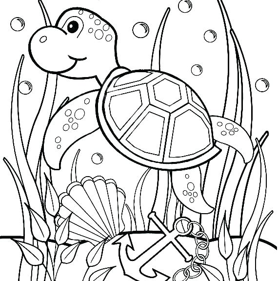570x576 Cute Turtle Coloring Pages Turtle Turtle Coloring Page Cute Ninja