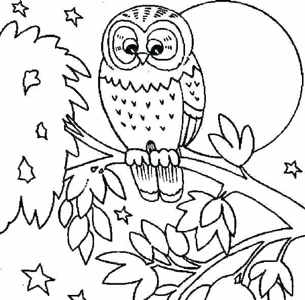 600x591 Owl Coloring Images Flying Owl Coloring Page Owl Coloring Pictures