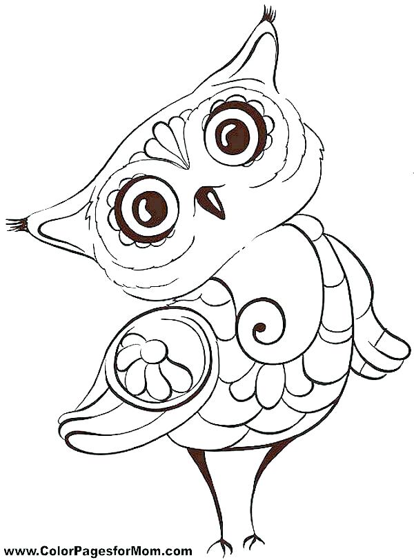 600x812 Free Owl Coloring Pages To Print