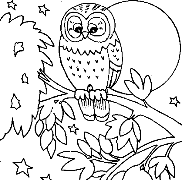 600x591 Cute Owl Is Dreamy Coloring Pages