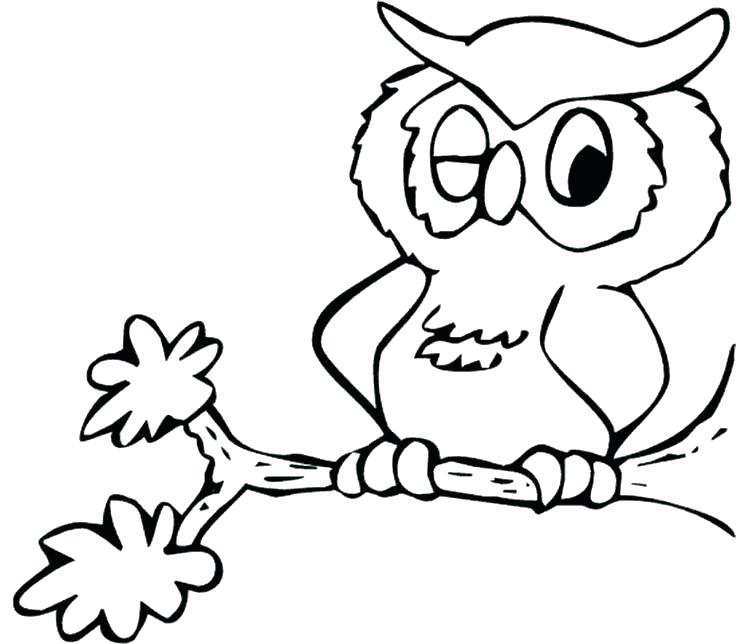 736x644 Pictures Of Owls To Print Free Large Print Coloring Pages Owl