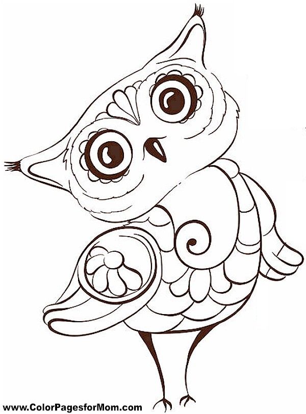 600x812 Sweet Looking Cute Owl Printable Coloring Pages Best 25 Ideas