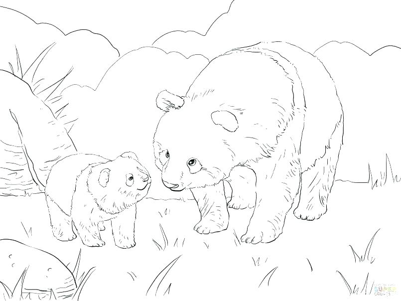805x604 Cute Panda Coloring Pages Cute Panda Coloring Pages Colouring