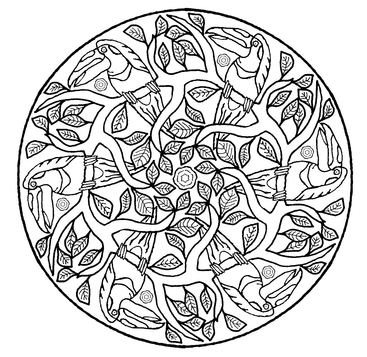 1260x1225 Mandala Parrot