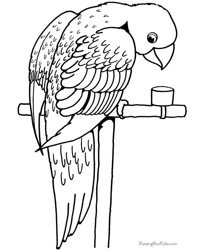 670x820 Parrot Coloring Pages Beautiful Cute Bird Coloring Pages Free