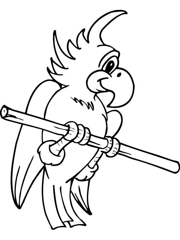 600x800 Cute Parrot Coloring Page