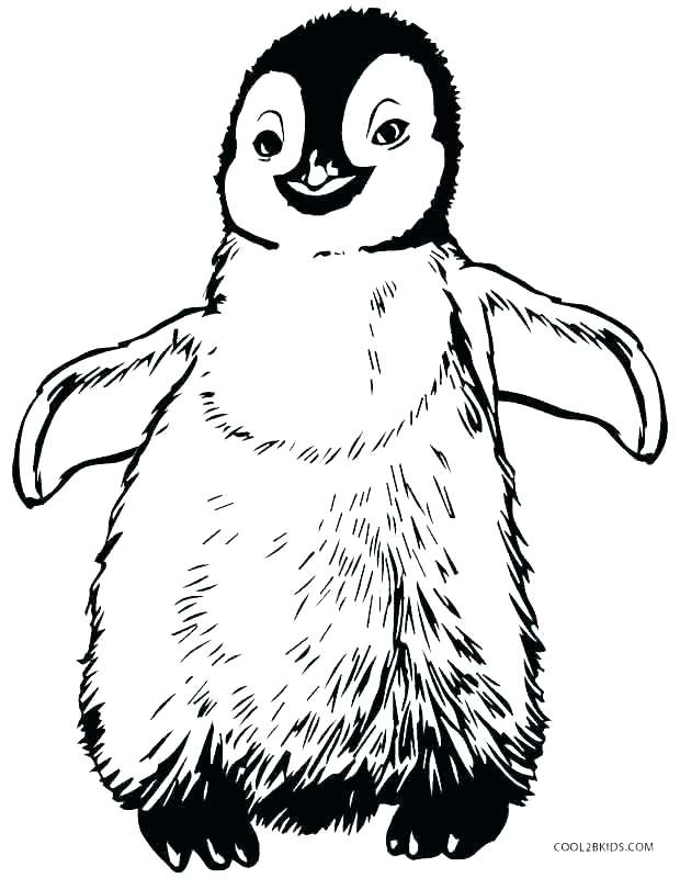 620x800 Cute Penguin Coloring Pages Penguins Coloring Pages Penguin