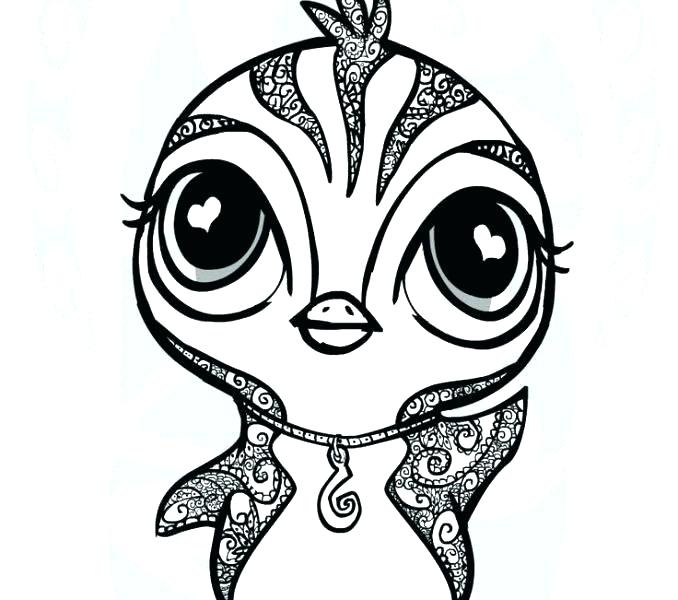 678x600 Christmas Penguin Coloring Pages Penguin Color Page Cute Penguin