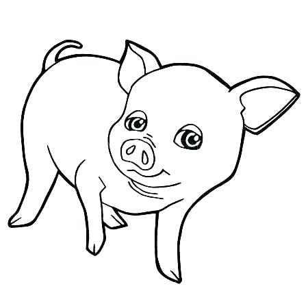 450x450 Pig Coloring Page Coloring Page Of A Pig Cartoon Pig Coloring