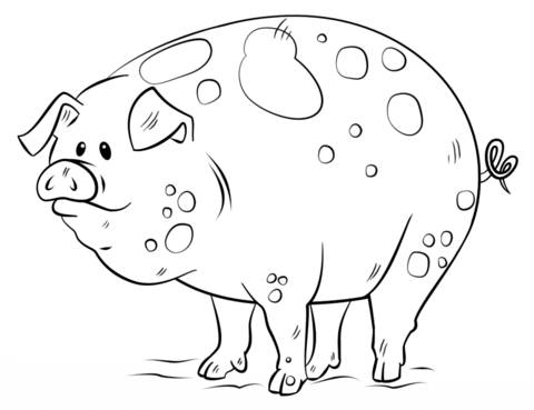 480x369 Pig Coloring Pages For Toddlers