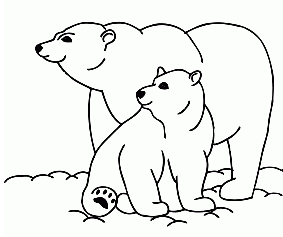568x475 Cute Polar Bear Coloring Pages
