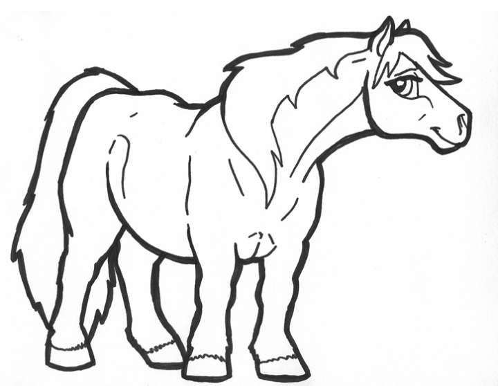 720x558 Cute Pony Coloring Sheets Baby Horse Pages