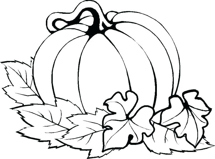 736x544 Free Printable Thanksgiving Coloring Pages For Kindergarten Cute