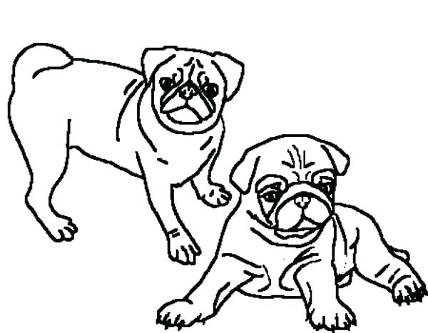 600x467 Pug Coloring Page Cute Pug Dog Coloring Page Free Printable Pages