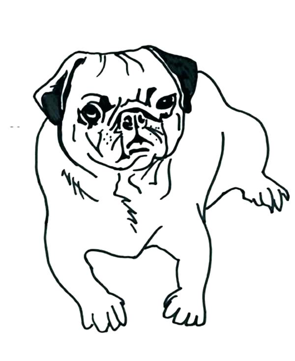 600x735 Pug Coloring Page Pug Coloring Pages Pug Coloring Pages Amusing